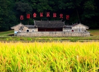 福建：保护性修缮，让古田革命旧址展新颜